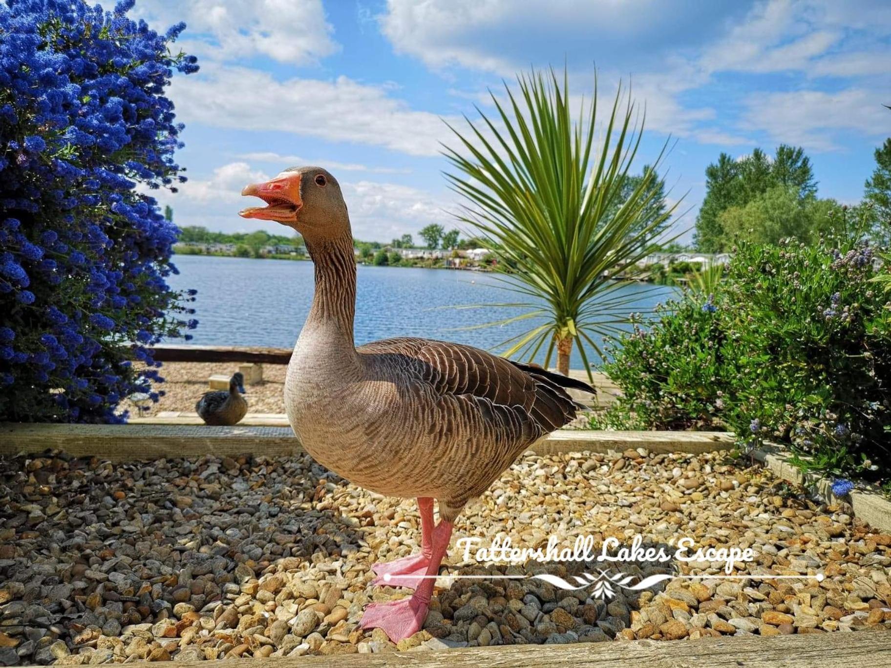 Meridian Tattershall Lakes Escape - Lakeside Lodge Caravan With A Fishing Peg Luxury Hot Tub المظهر الخارجي الصورة