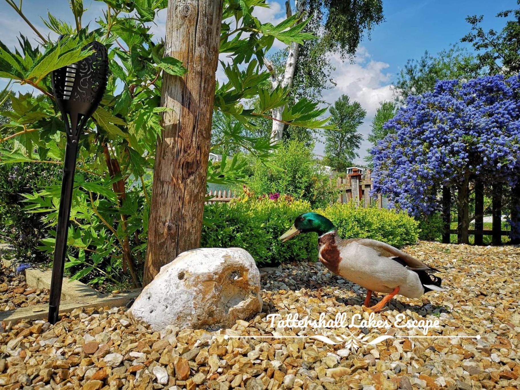 Meridian Tattershall Lakes Escape - Lakeside Lodge Caravan With A Fishing Peg Luxury Hot Tub المظهر الخارجي الصورة